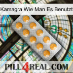 Kamagra How To Use levitra1